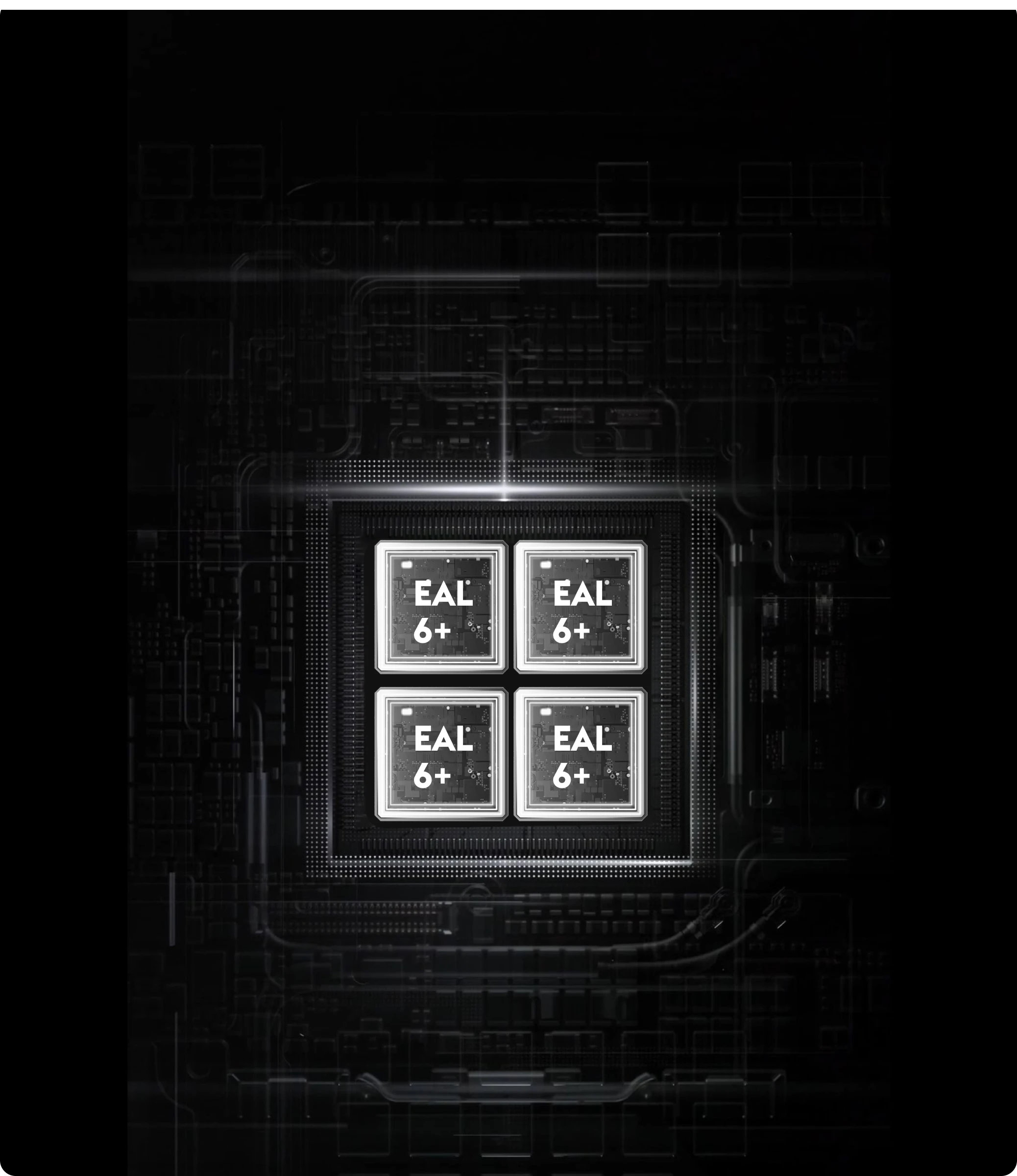 EAL6 Plus Secure Chip Array Architecture